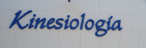 adriana fernandez da silva  salud | kinesiologia | fisiatria | rehabilitacion | psicomotricidad | terapia ocupacional en , venado tuerto, santa fe
