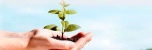 agroquimicos fragaria  agro | implementos en calle 57 esq 40, villa caÃ±Ã¡s, santa fe