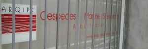arquitectura ipc construccion | arquitectos en monteagudo 1354, venado tuerto, santa fe
