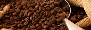cafe viento sur alimentos | fabricacion en moreno 436, venado tuerto , 
