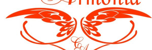 centro de la armonia estetica | cosmetologia en 25 de mayo 511, venado tuerto , 