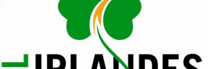 el irlandes futbol deportes | canchas | piletas | privadas en santa fe 1651, venado tuerto, santa fe