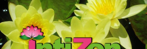 inti zen salud | terapias alternativas en hipolito yrigoyen 1115, venado tuerto, santa fe