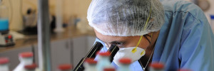 laboratorio vetue agro | insumos ganaderos en ruta nac 33  km 633,3, venado tuerto, santa fe