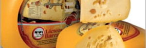 magnasco quesos alimentos | fabricacion en zona rural runciman , runciman, santa fe