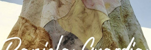 prendas con arte daniela guardia ropa | indumentaria en , venado tuerto, santa fe