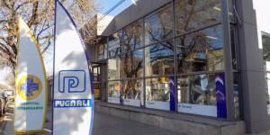 pugnali agroindustrial agro | insumos ganaderos en brown 1165, venado tuerto, santa fe