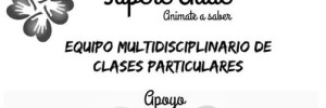 sapere aude equipo multidisciplinario de clases particulares educacion | clases particulares | apoyo escolar en , venado tuerto, santa fe