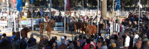 sociedad rural de venado tuerto organismos | ong | instituciones en chile 1490, venado tuerto, santa fe