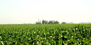 suelo sano | soluciones biológicas y asesoramiento para tu campo agro | insumos fertilizacion en parque industrial, san gregorio, santa fe