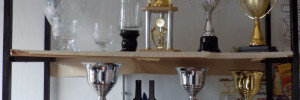 trofeos leonangeli deportes | indumentaria en roca 1547 , venado tuerto, santa fe