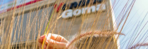 venado goma agro | servicios en marcos ciani 2460, venado tuerto, santa fe