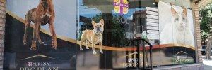 veterinaria el sol casa hogar | mascotas veterinarias en marconi 194 (esquina italia), venado tuerto, santa fe