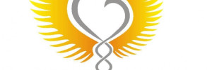 vida consciente organismos | ong | instituciones en , venado tuerto, santa fe