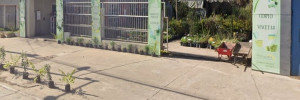 vivero morguen casa hogar | viveros en lisandro de la torre 755, venado tuerto , santa fe