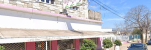 vivero y florería maría delia sucursal mitre casa hogar | viveros en mitre 1700, venado tuerto, santa fe