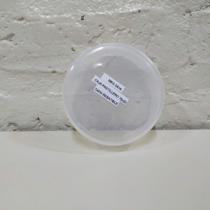 caja pastillero 78x32 tapa rebatible