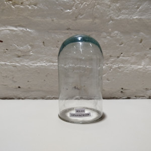 cupula n2 6x12cm