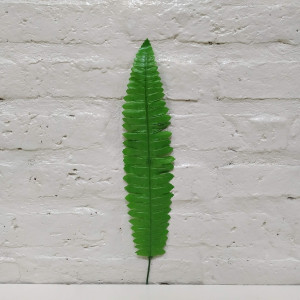 hoja helecho serrucho