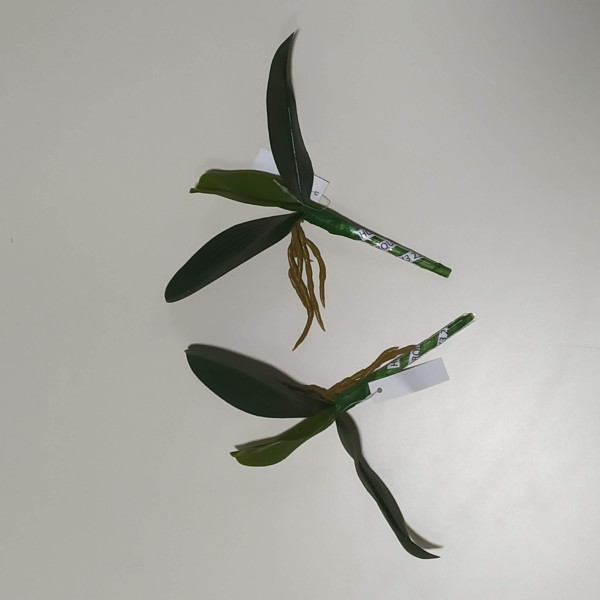 HOJA ORQUIDEA x3 21CM