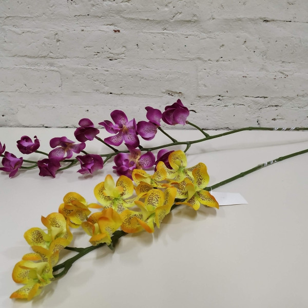 VARA DE ORQUIDEA ATIGRADA AMARILLA
