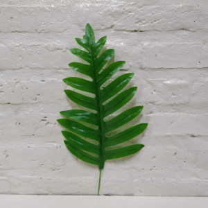 vara hoja kentia 45cm