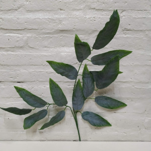 vara hoja mango 70cm