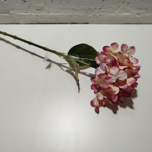 vara hortensia 60cm