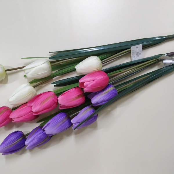 VARA TULIPAN X 5 VIOLETA x 1mt