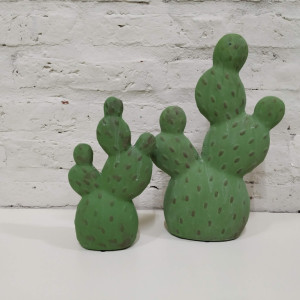 cactus puntos grande