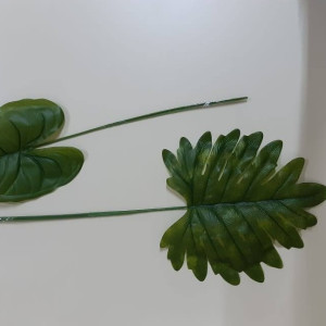 vara hoja anthurium 55cm