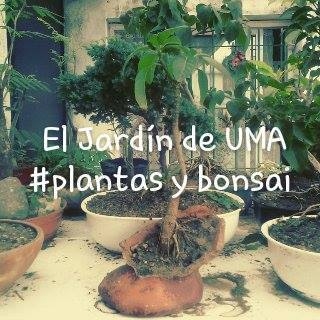 El Jardín de Uma