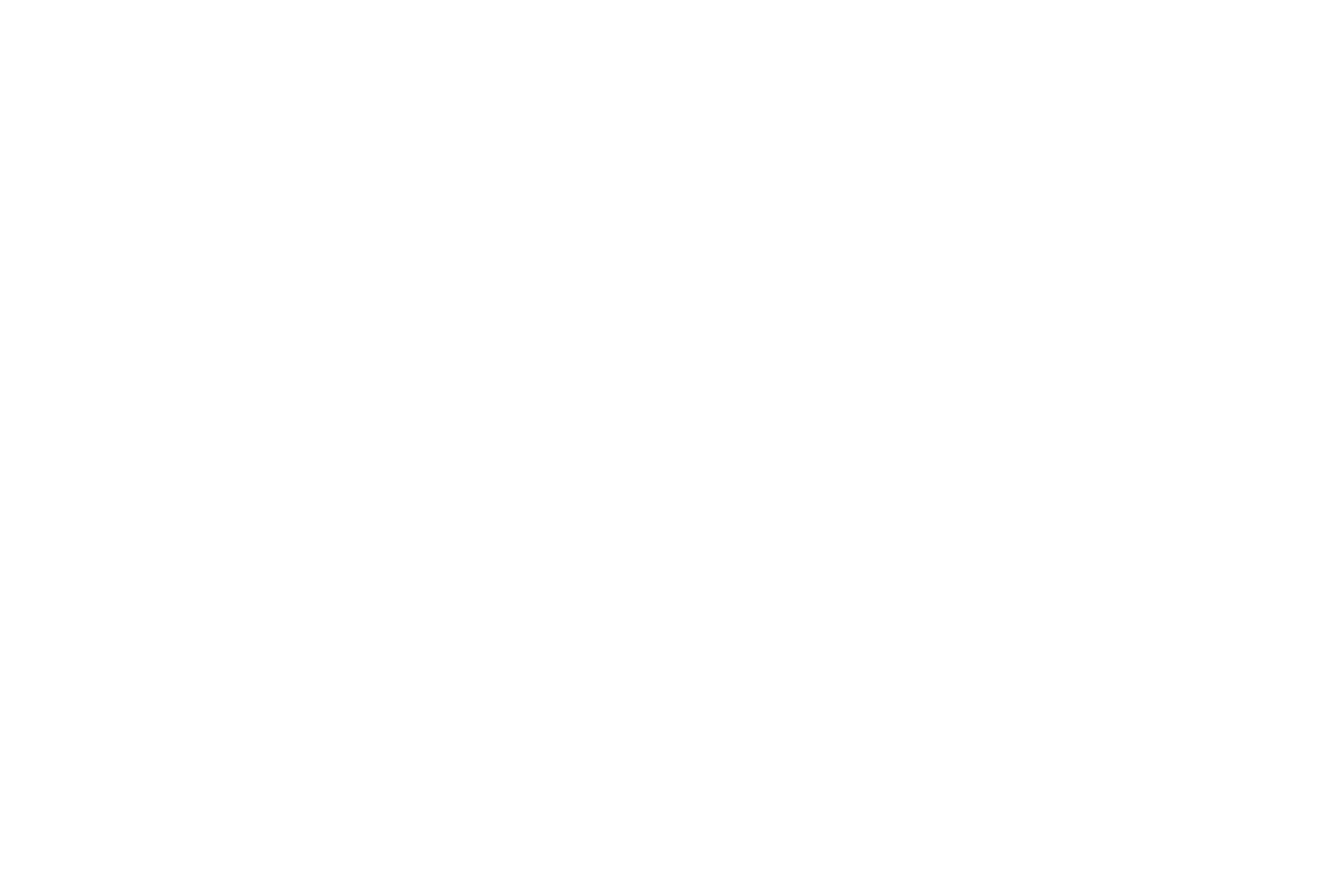 Tienda Chip