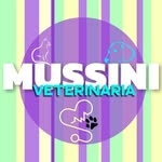 MUSSINI