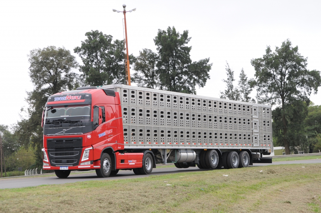 Transporte de ganado porcino, TRANSNATALI SRL, venado tuerto 