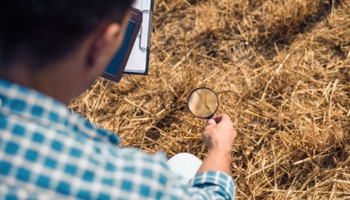 INDICADORES DE LA CALIDAD DE LAS TIERRAS: BIOLÃGICOS, QUÃMICOS Y FÃSICOS, ESTUDIO AGRONOMICO, venado tuerto 