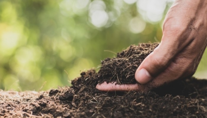 DIAGNÃSTICO Y MANEJO DE TIERRAS CON DEGRADACIÃN FÃSICA, ESTUDIO AGRONOMICO, venado tuerto 