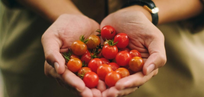 1kg Cherry, La huertina, venado tuerto