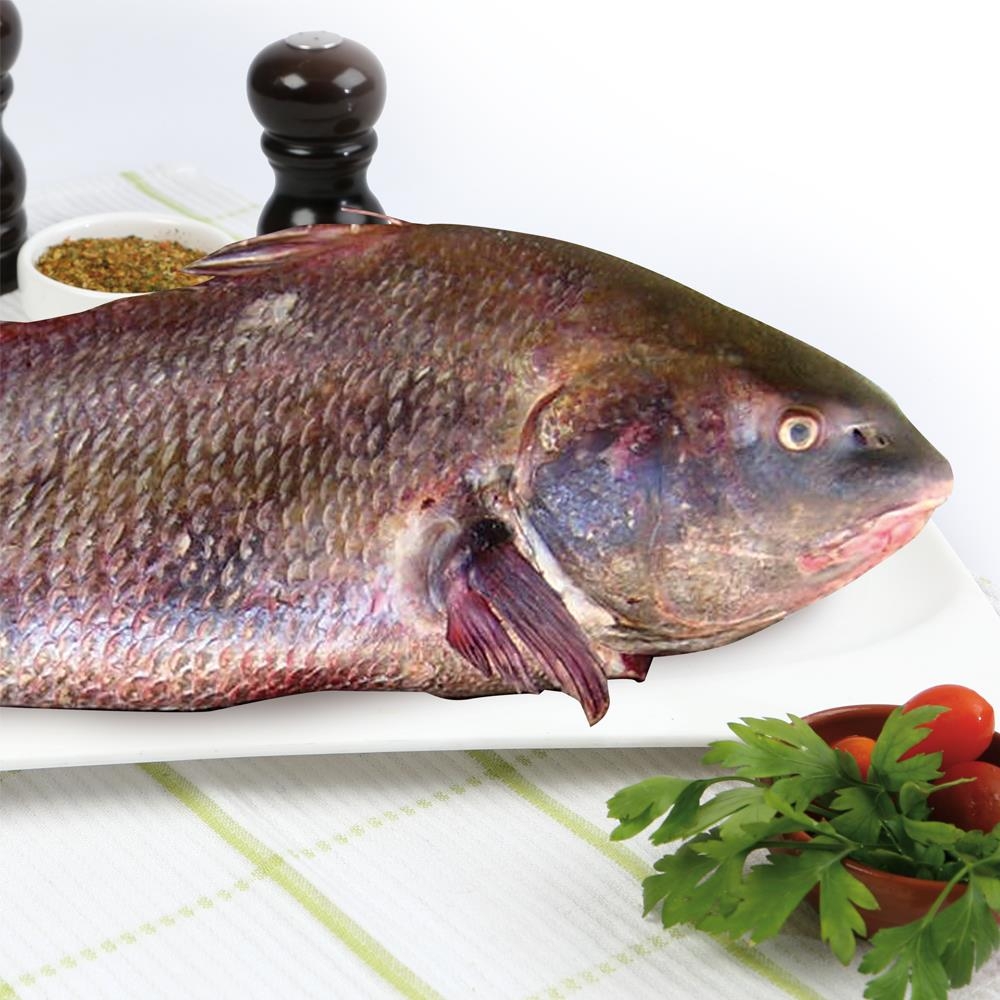 CORVINA NEGRA CONGELADA AL PESO, Congelados Don Esteban, Santa Isabel
