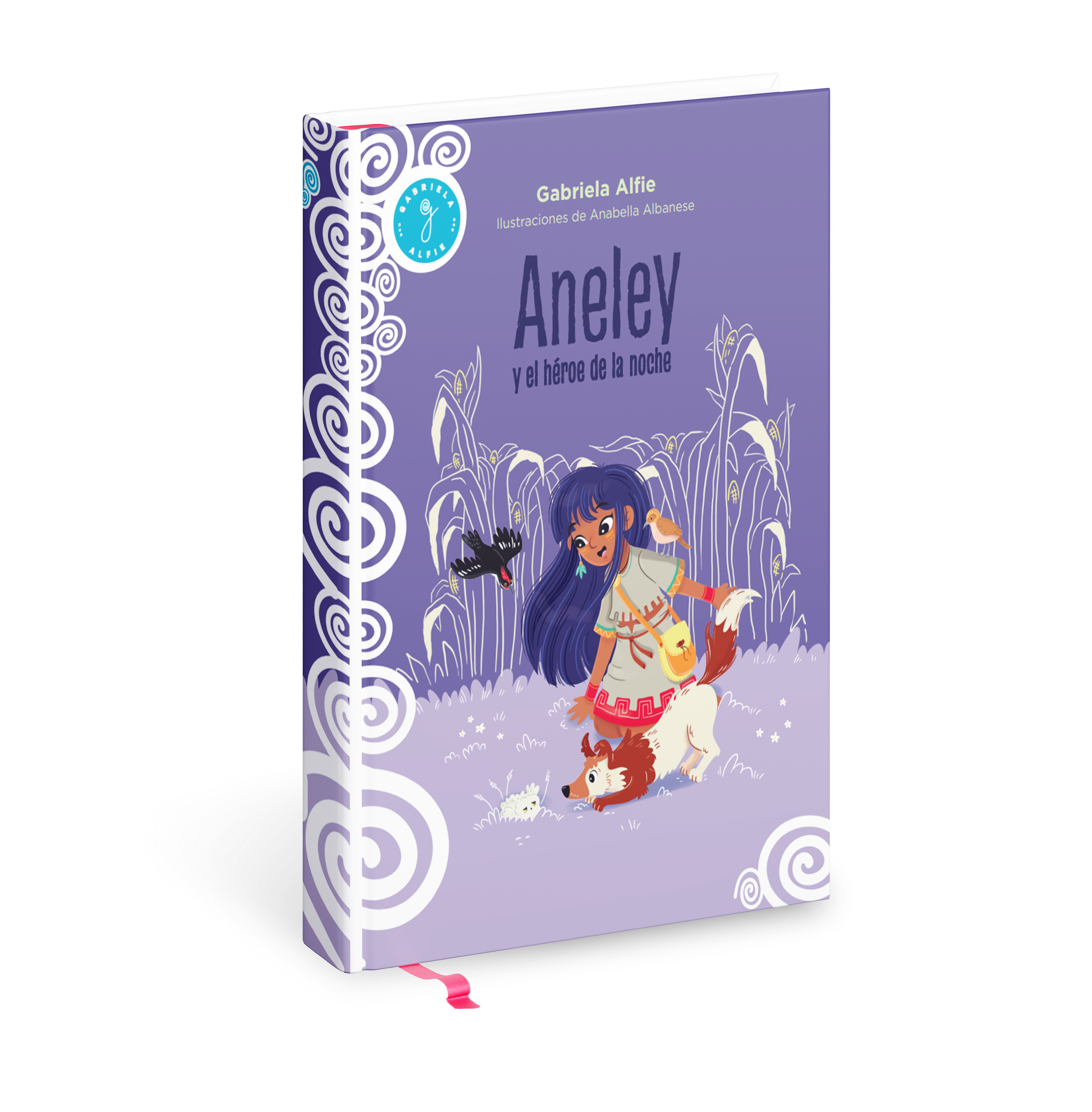 Aneley y el hÃ©roe de la noche, GABRIELA ALFIE, 