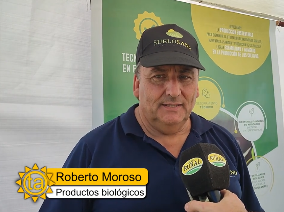 Â¿El suelo ya no responde igual? Volver a las raÃ­ces con soluciones biolÃ³gicas, Suelo Sano | Soluciones Biológicas y Asesoramiento para tu Campo, san gregorio