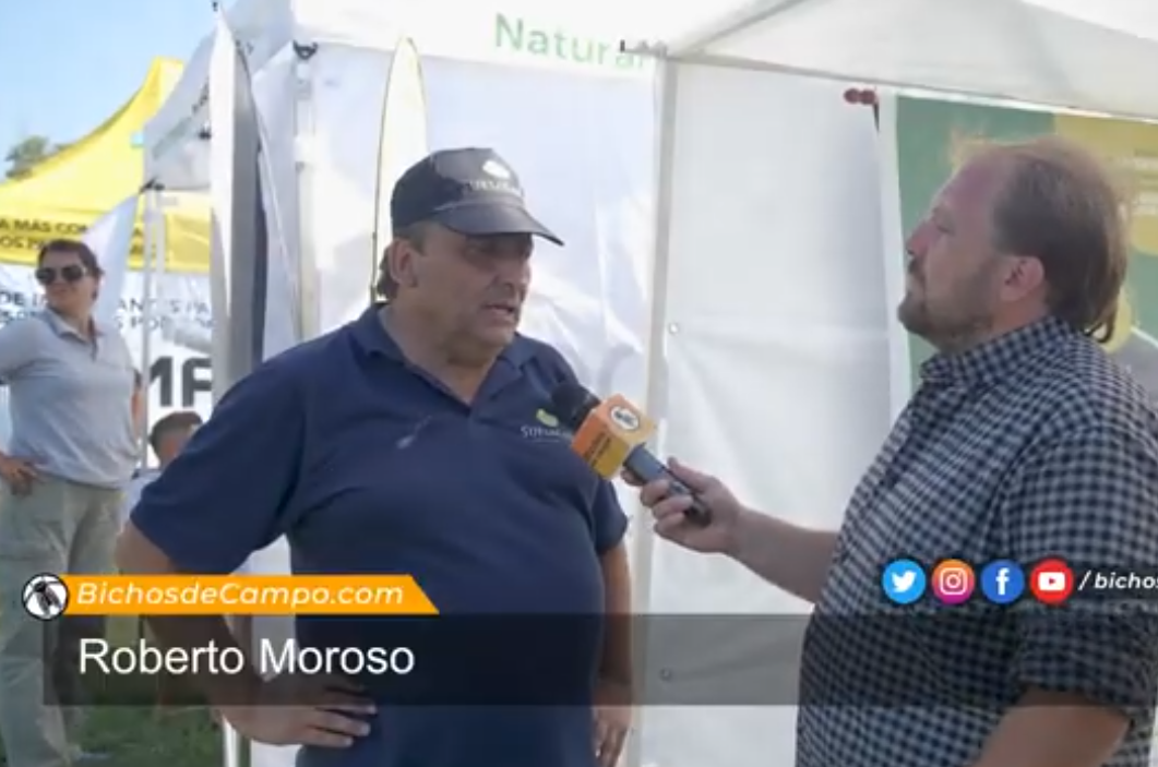 Â¿FÃ³sforo retenido en tu suelo? DescubrÃ­ cÃ³mo liberarlo con soluciones biolÃ³gicas reales, Suelo Sano | Soluciones Biológicas y Asesoramiento para tu Campo, san gregorio