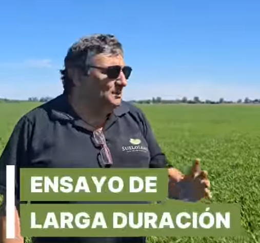 Ensayo de larga duraciÃ³n confirmando la efectividad de MAXXSOIL, Suelo Sano | Soluciones Biológicas y Asesoramiento para tu Campo, san gregorio
