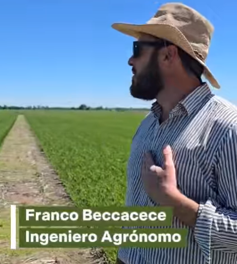 Ensayo de seis campaÃ±as con reducciÃ³n de fertilizantes, Suelo Sano | Soluciones Biológicas y Asesoramiento para tu Campo, san gregorio