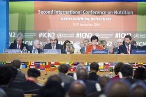 SEGUNDA CONFERENCIA INTERNACIONAL SOBRE NUTRICIÃ³N, Laura Medici, venado tuerto