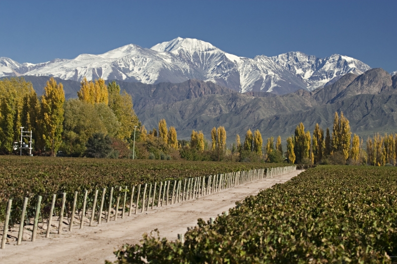 MENDOZA, JOVE VIAJES, venado tuerto