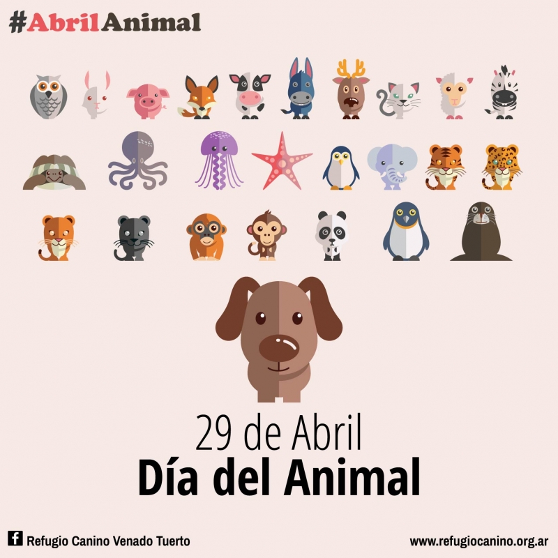 29 DE ABRIL DIA DEL ANIMAL, REFUGIO CANINO VENADO TUERTO, venado tuerto