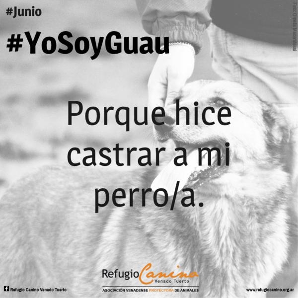YO SOY GUAU, REFUGIO CANINO VENADO TUERTO, venado tuerto