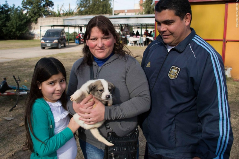 ELLOS YA TIENEN SU HOGAR, REFUGIO CANINO VENADO TUERTO, venado tuerto