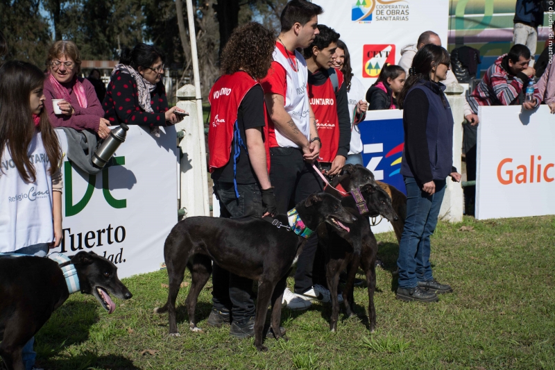 EL REFU EN LA EXPOVENADO 2015, REFUGIO CANINO VENADO TUERTO, venado tuerto